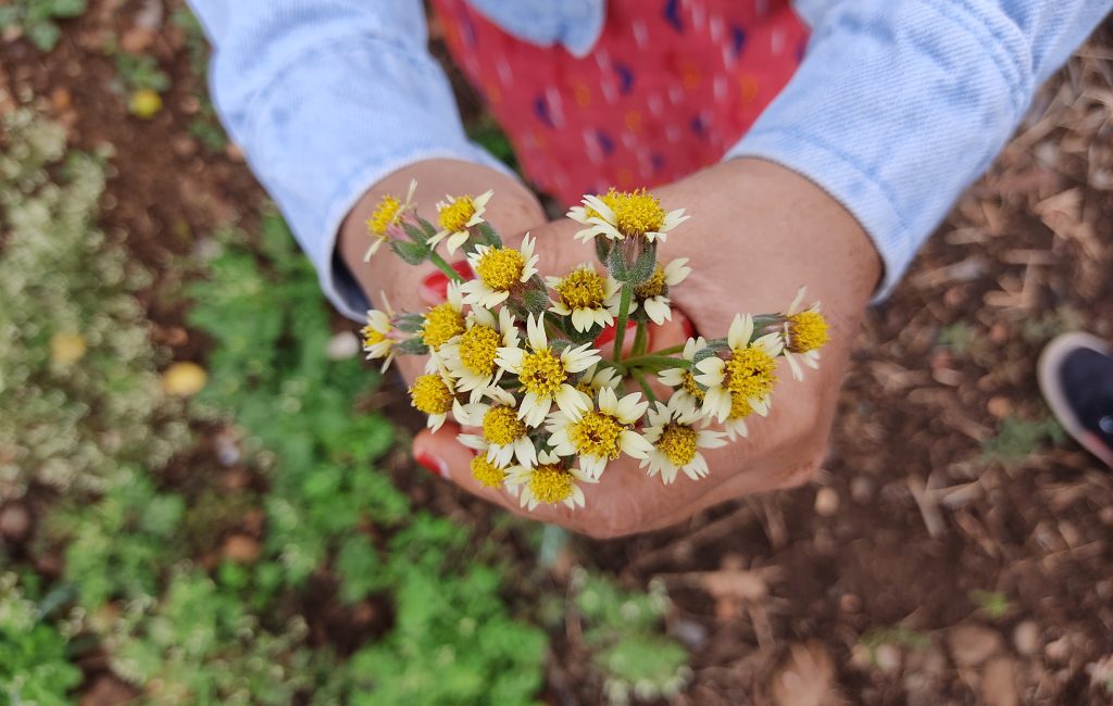 Bouquet of flowers